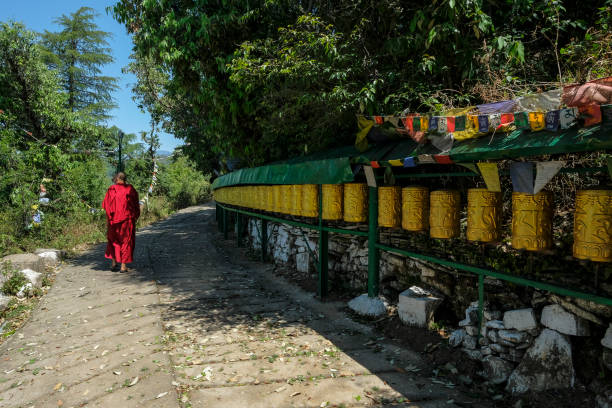 Dharamshala 3