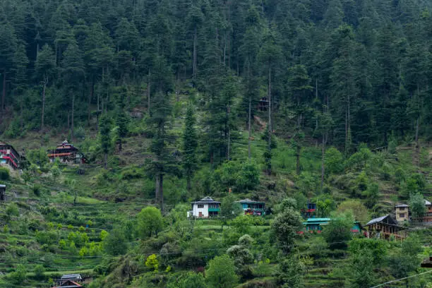Kullu 3