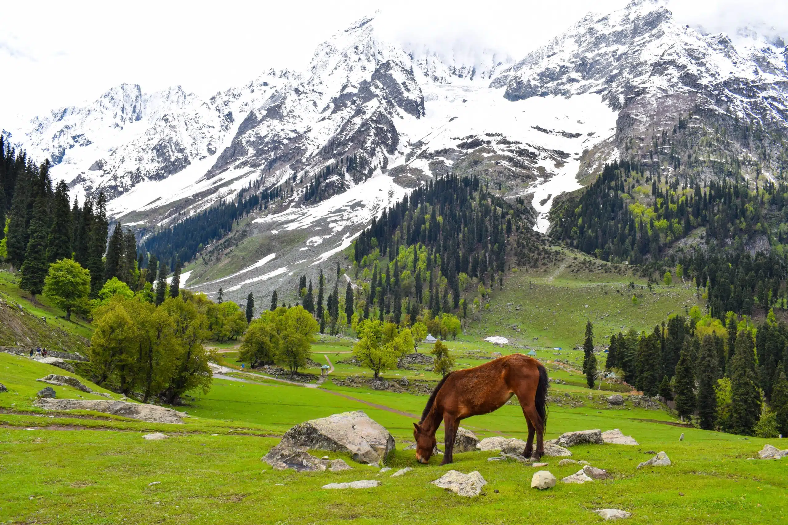 Classic Kashmir Tour Package