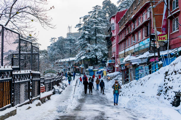Shimla 1