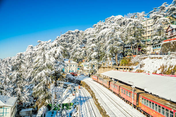 Shimla 2