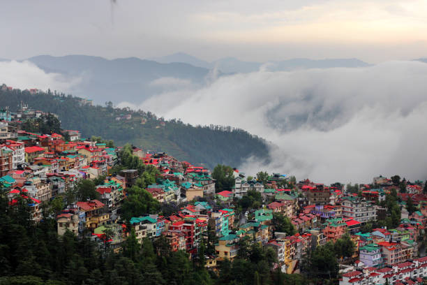 Shimla 3